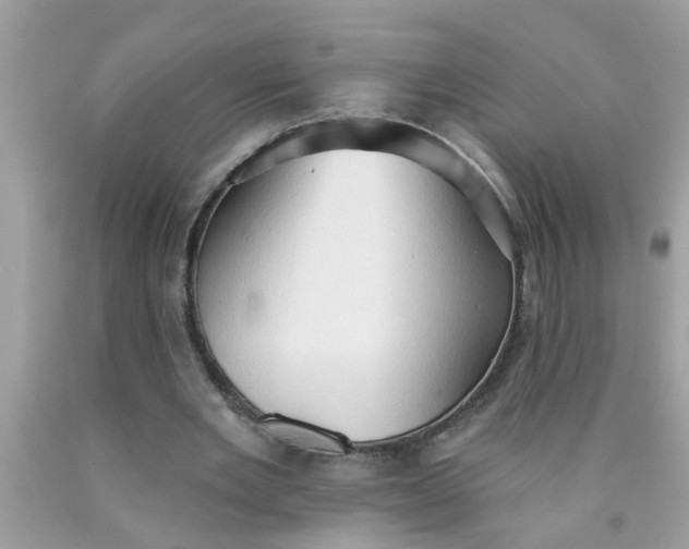 X0000090500485200707280004