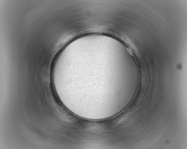 X0000090500486200707280004