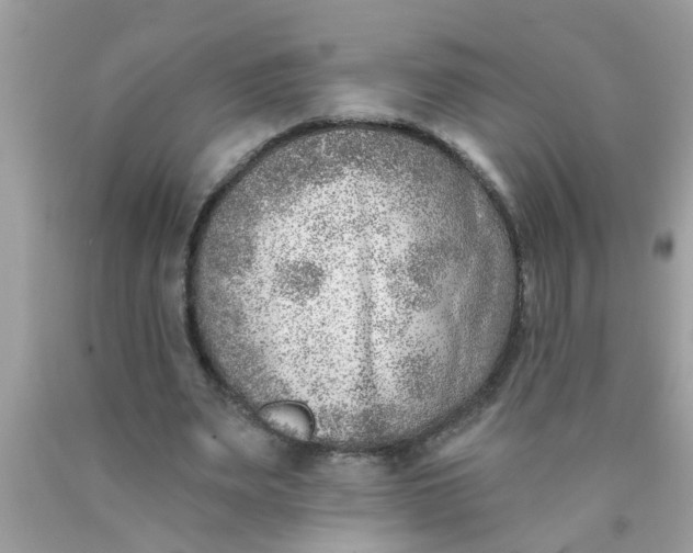 X0000090500487200707280004