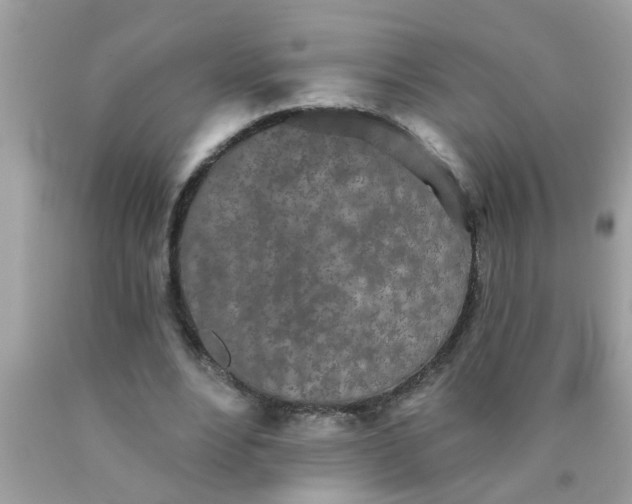 X0000090500488200707280004