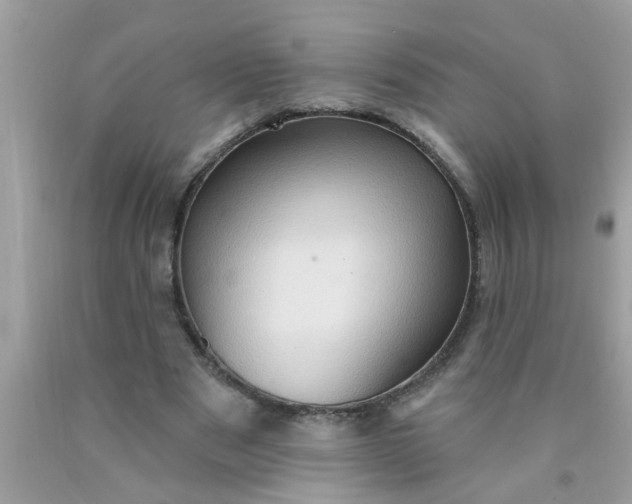 X0000090500489200707280004