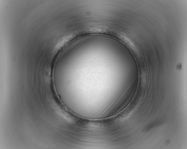 X0000090500490200707280004