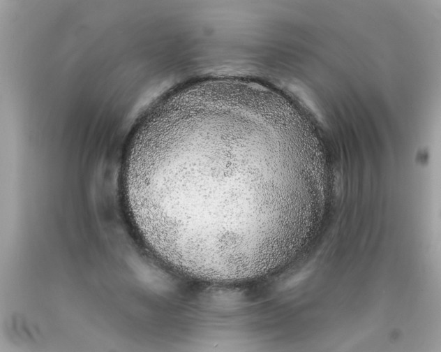 X0000090500491200707280004