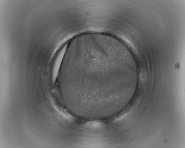 X0000090500492200707280004