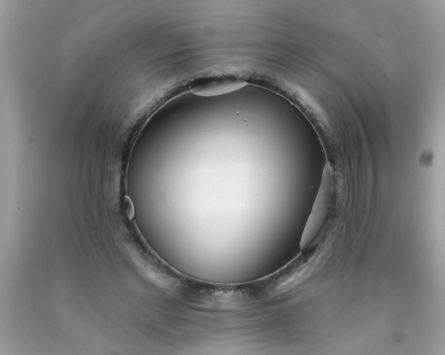 X0000090500493200707280004