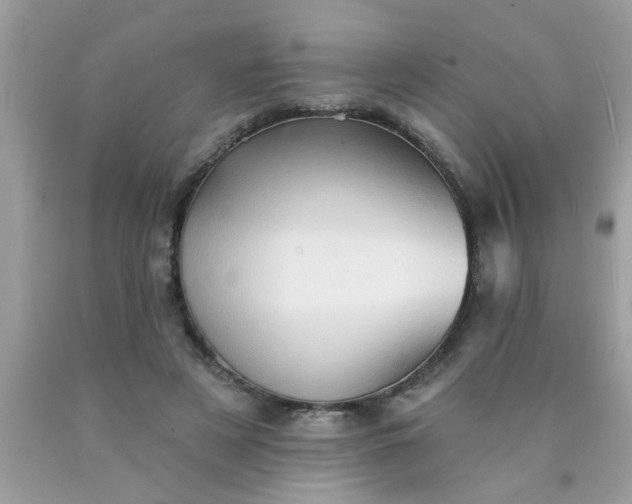 X0000090500497200707280004