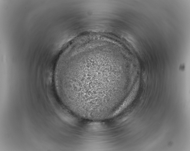 X0000090500499200707280004