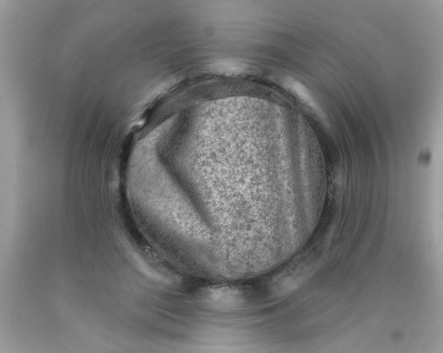 X0000090500500200707280004