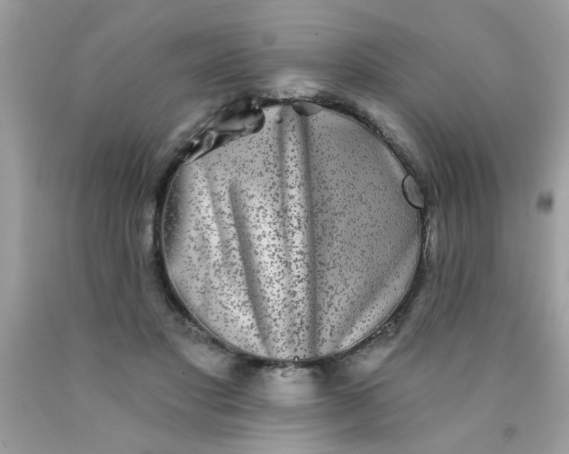 X0000090500501200707280004