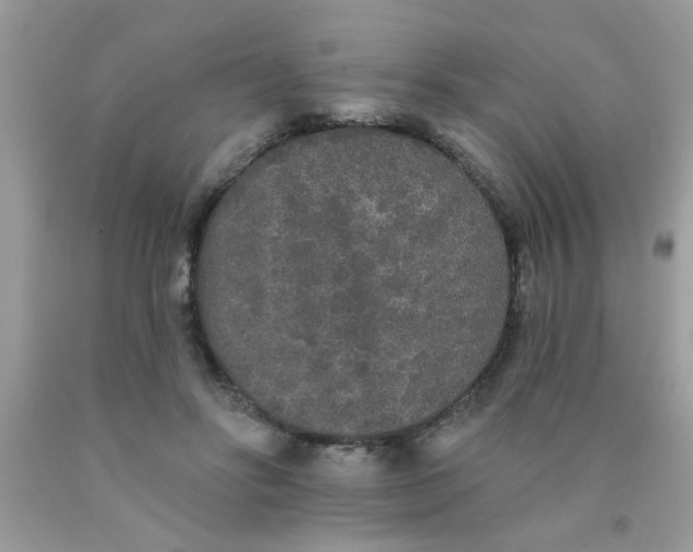 X0000090500502200707280004