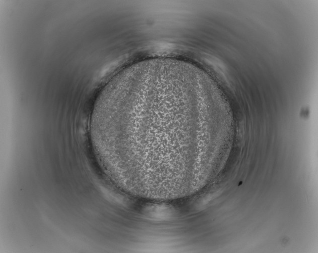 X0000090500503200707280004