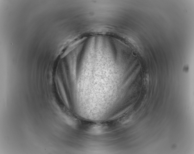 X0000090500504200707280004