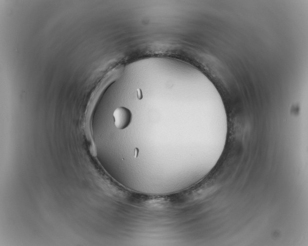 X0000090500505200707280004