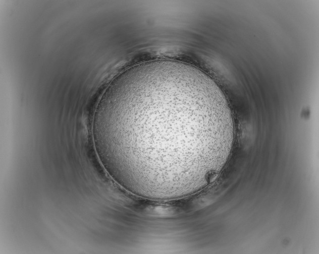 X0000090500506200707280004