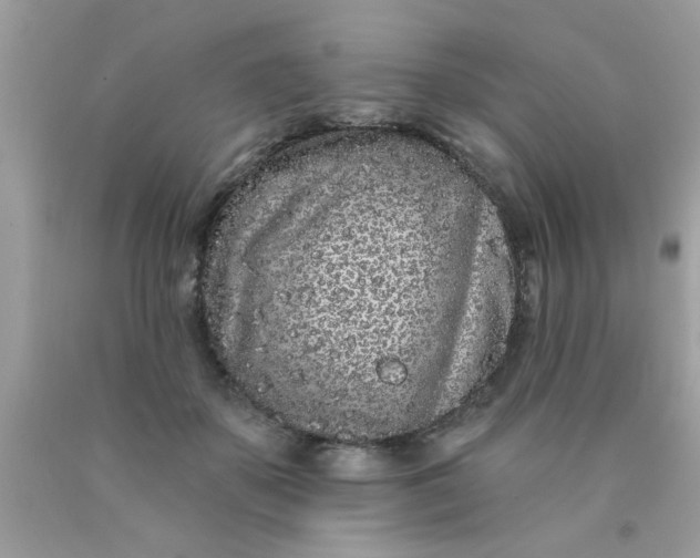 X0000090500507200707280004