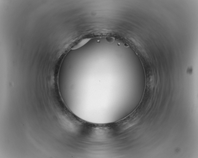 X0000090500508200707280004