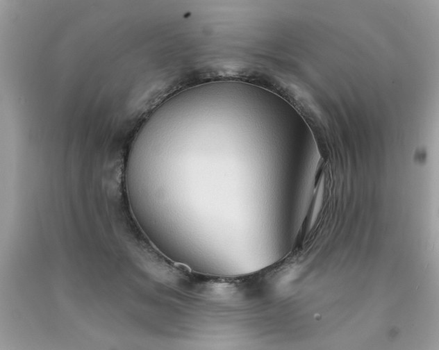 X0000090500509200707280004