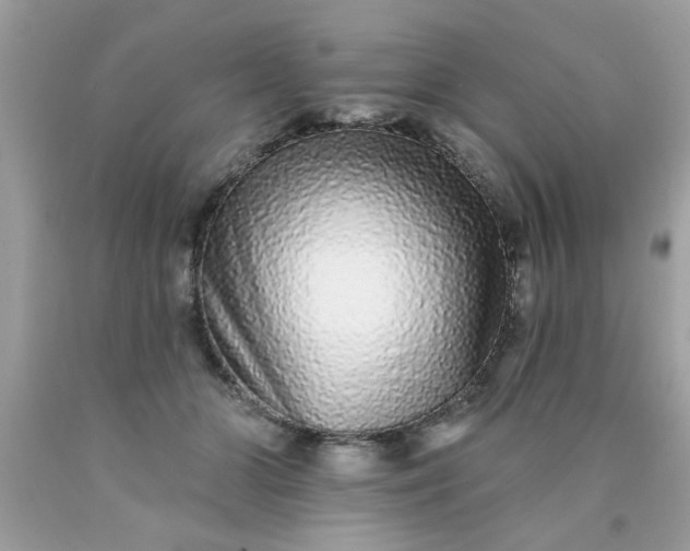 X0000090500510200707280004