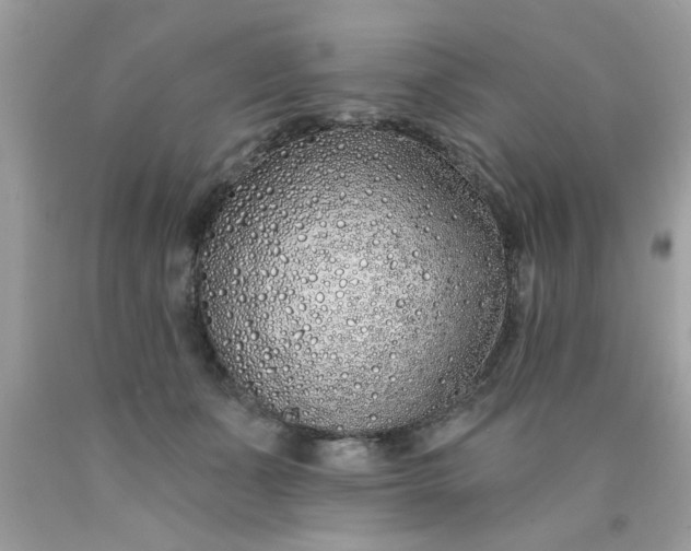 X0000090500511200707280004