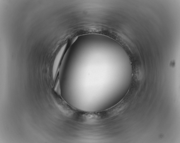 X0000090500512200707280004