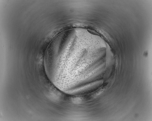 X0000090500513200707280004