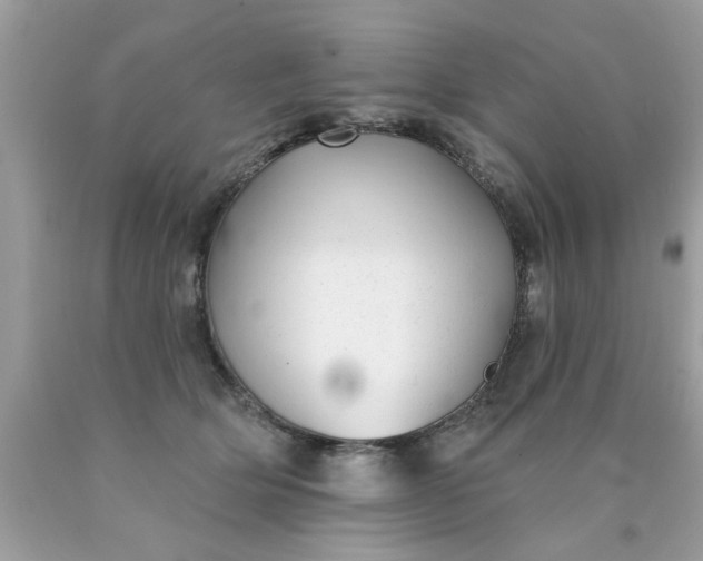 X0000090500514200707280004