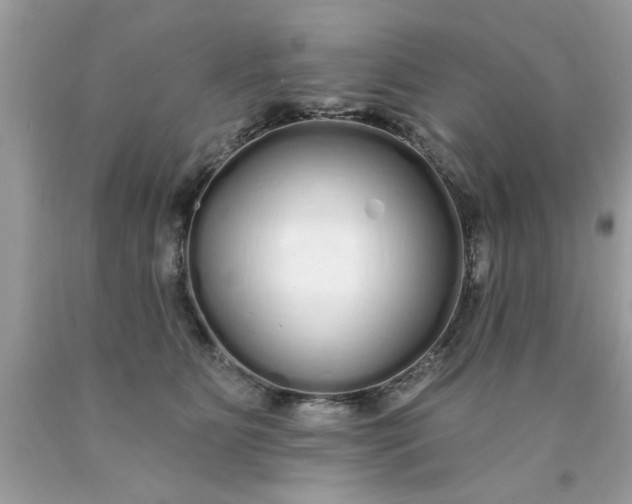 X0000090500515200707280004