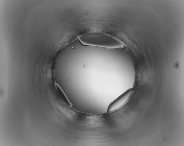 X0000090500516200707280004