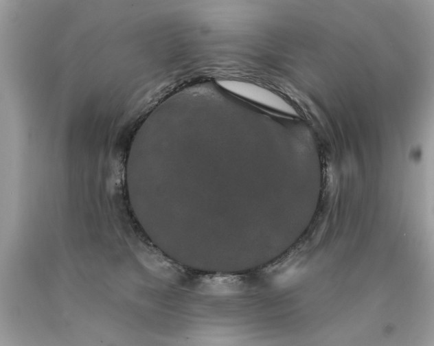 X0000090500517200707280004