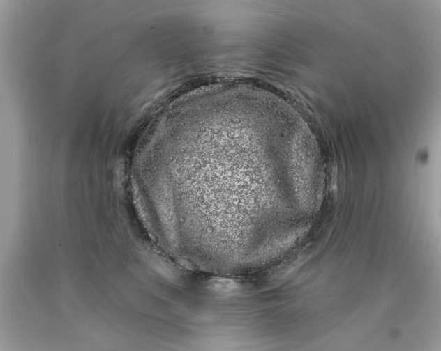 X0000090500519200707280004