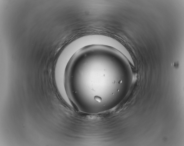 X0000090500520200707280004