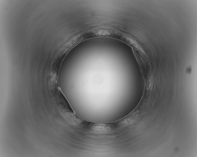 X0000090500521200707280004