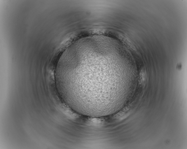 X0000090500522200707280004