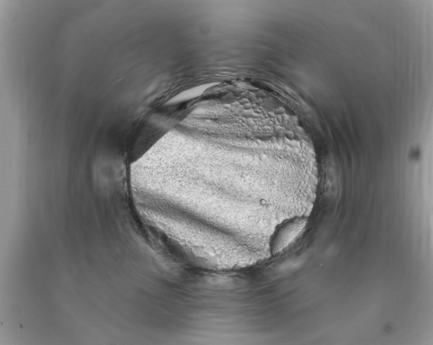 X0000090500523200707280004