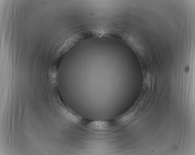 X0000090500526200707280004