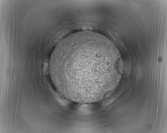 X0000090500527200707280004