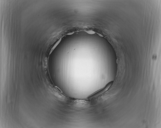 X0000090500528200707280004