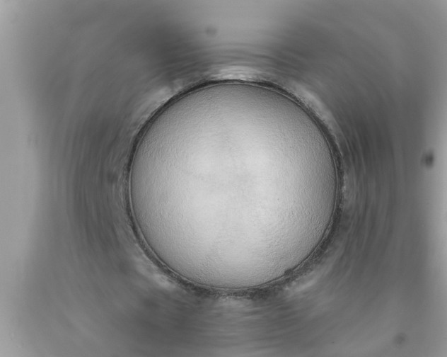 X0000090500529200707280003