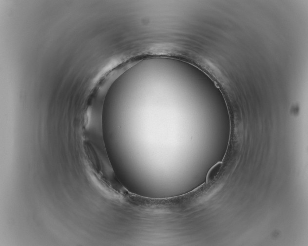 X0000090500530200707280003