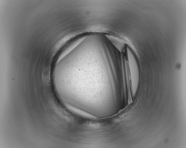 X0000090500531200707280003