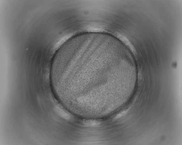 X0000090500533200707280003