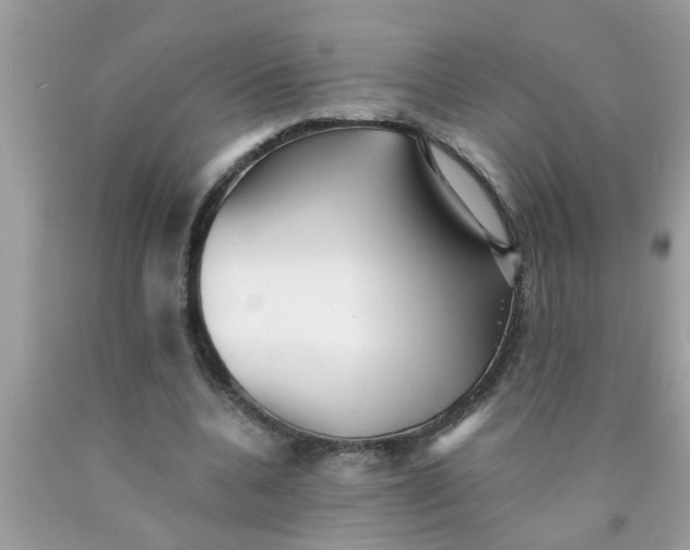 X0000090500536200707280003