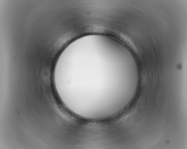 X0000090500538200707280003