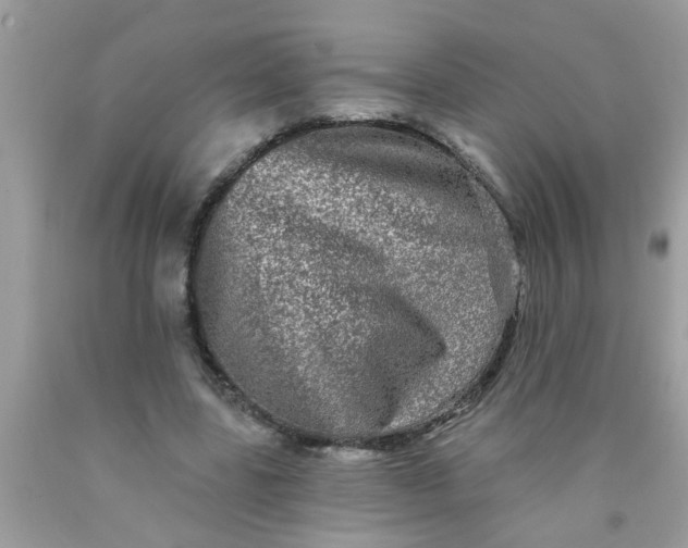 X0000090500539200707280003