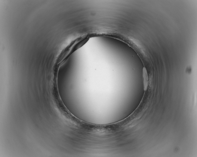 X0000090500540200707280003