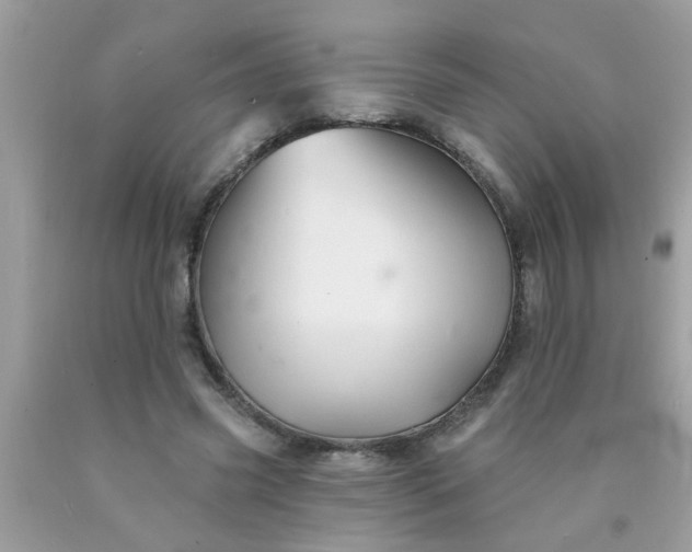 X0000090500541200707280003