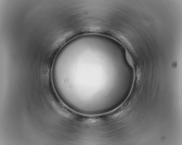 X0000090500542200707280003