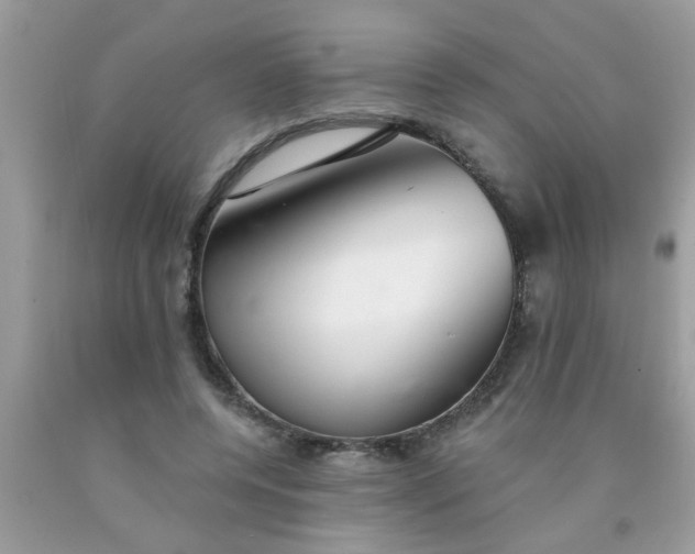 X0000090500544200707280003