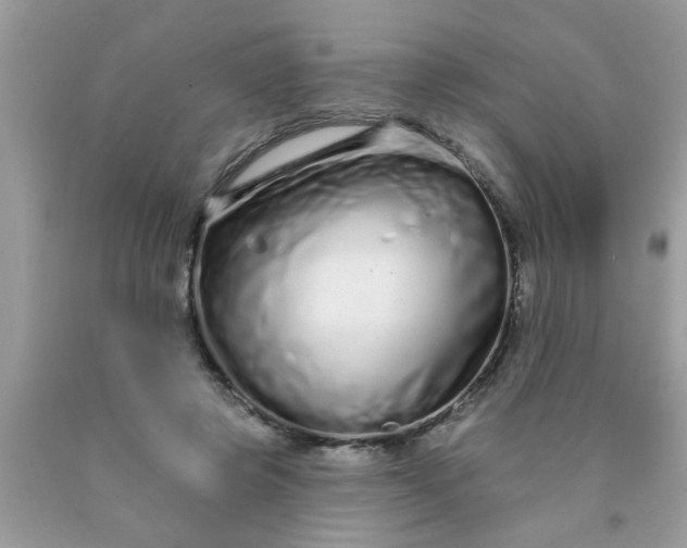 X0000090500545200707280003