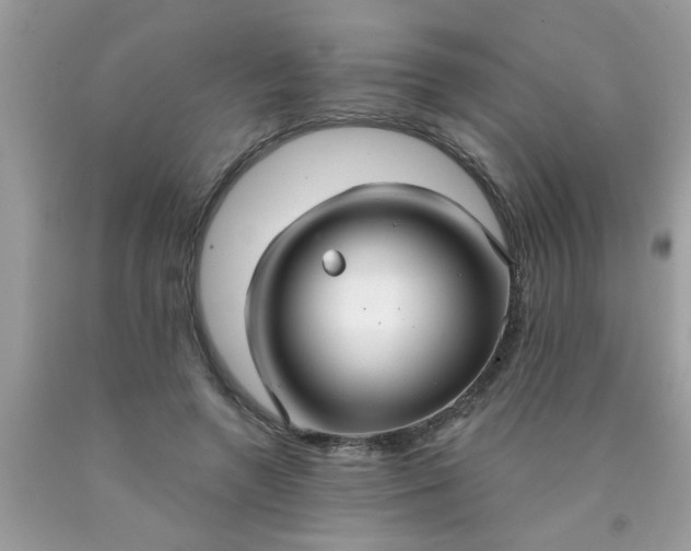 X0000090500546200707280003